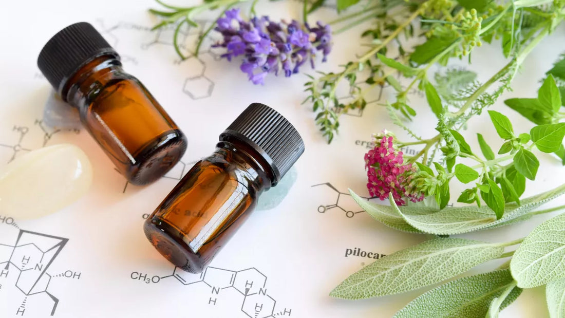 Les différentes méthodes d’utilisation des huiles essentielles