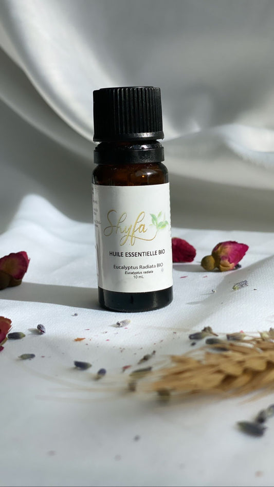 Huile essentielle d'Eucalyptus Radiata bio